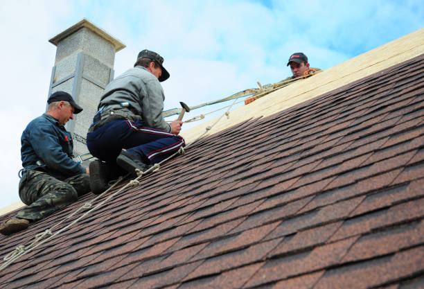 Trusted Chevy Chase Heights, PA Roofing Contractor Experts